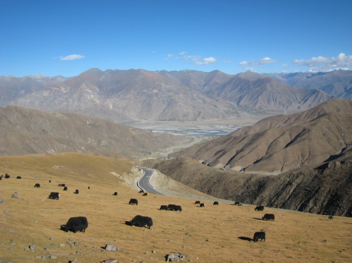 Untitled image