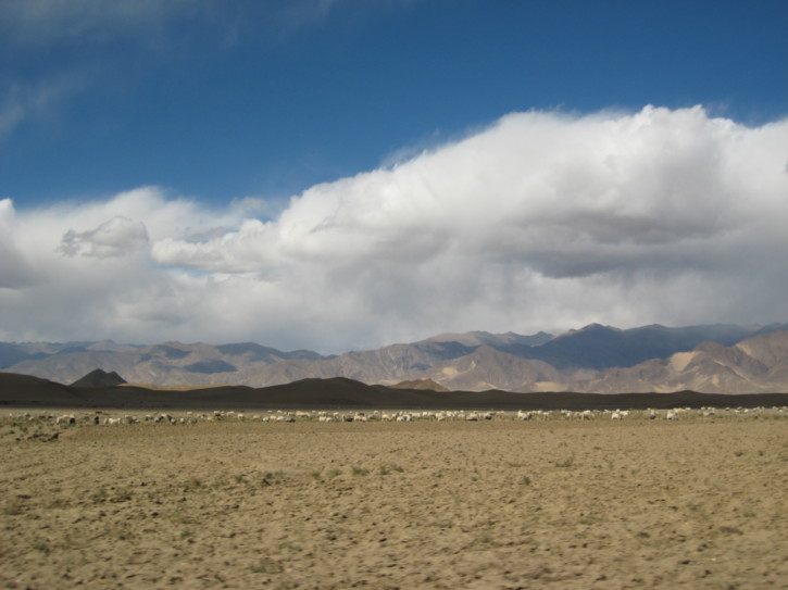 Untitled image
