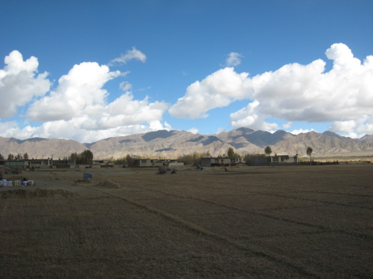 Fields