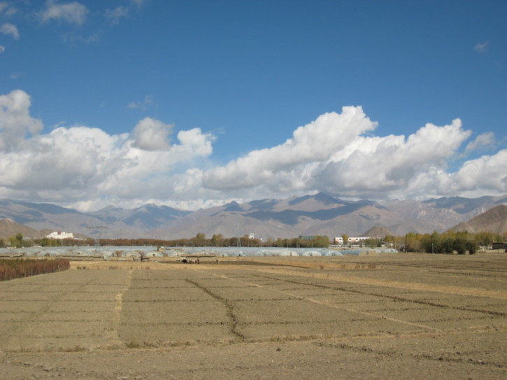 Fields