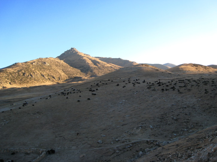 Untitled image