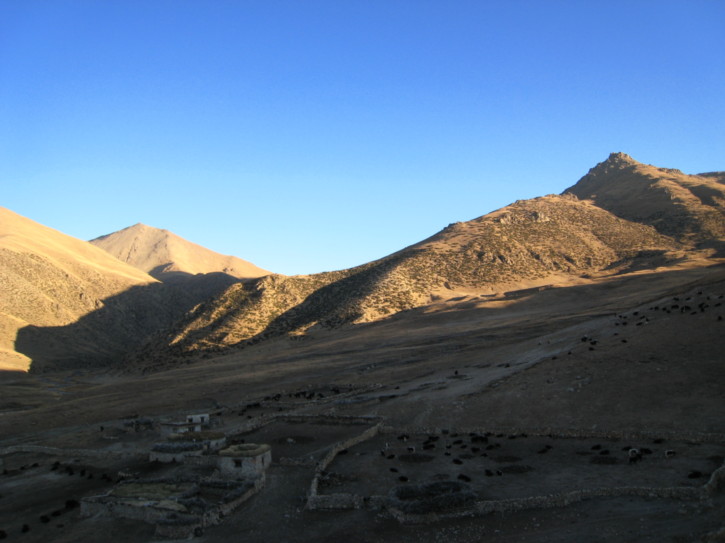 Untitled image