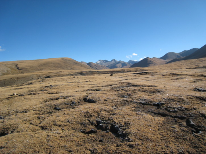 Untitled image