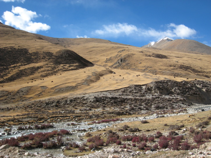 Untitled image