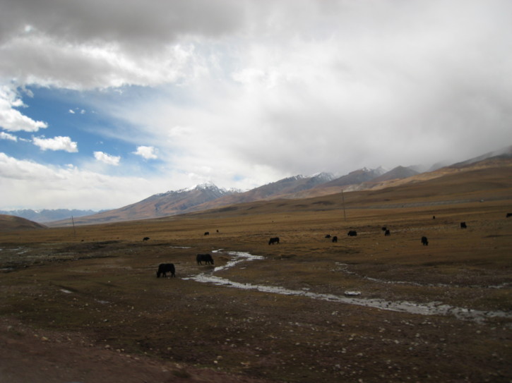 Untitled image