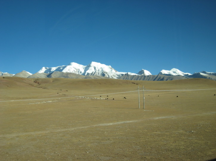 Untitled image