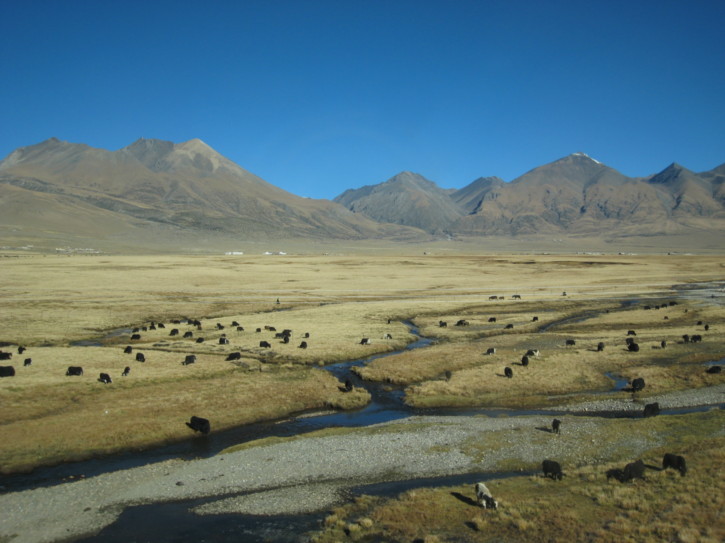 Untitled image