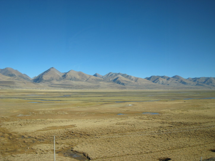 Untitled image