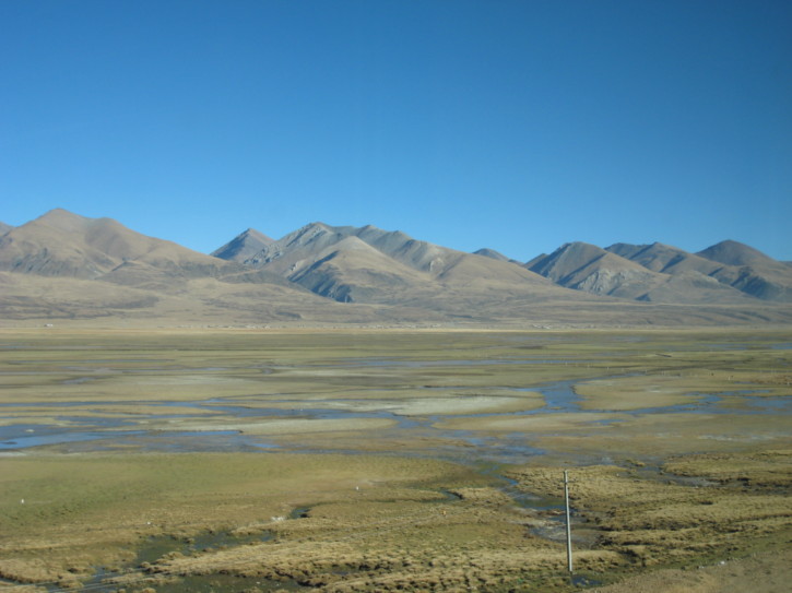Untitled image