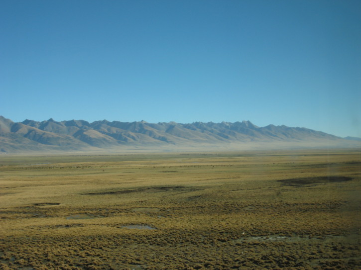 Untitled image