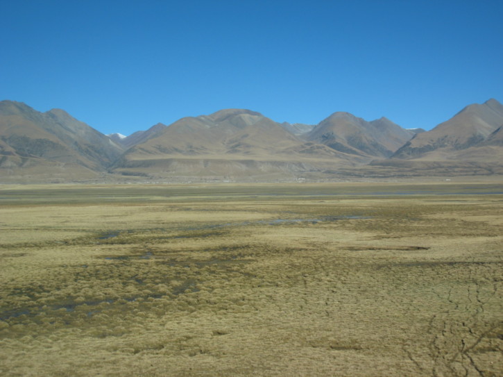 Untitled image