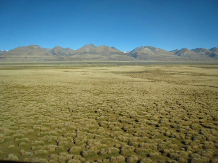 Untitled image