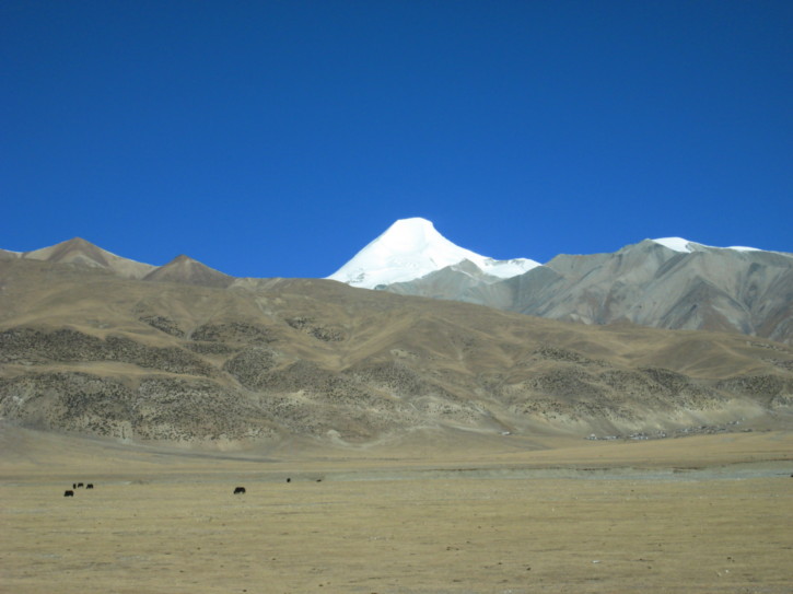 Untitled image