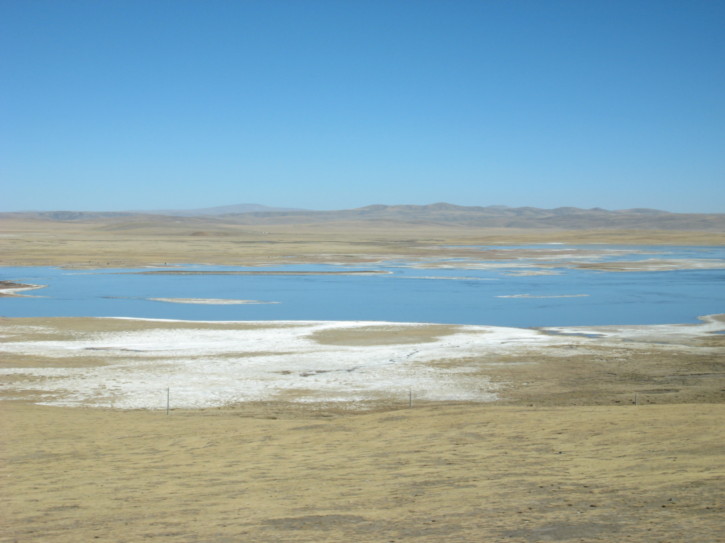 Untitled image