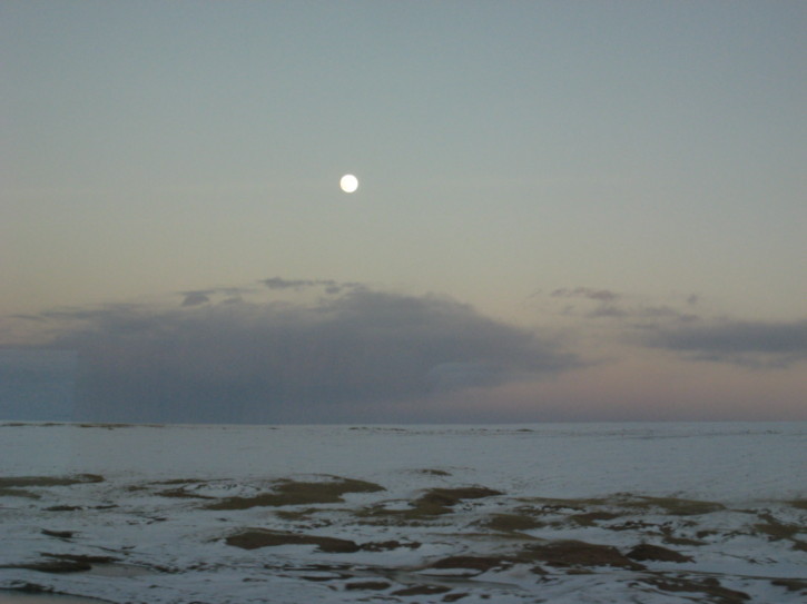 Untitled image