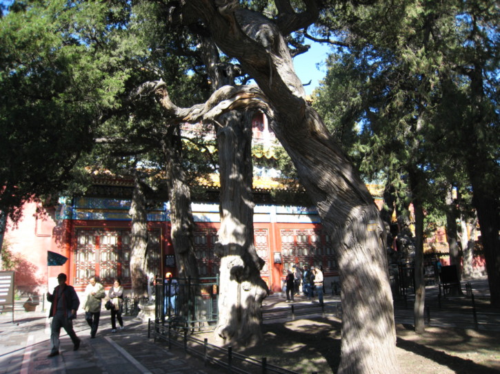 In the Imperial Gardens