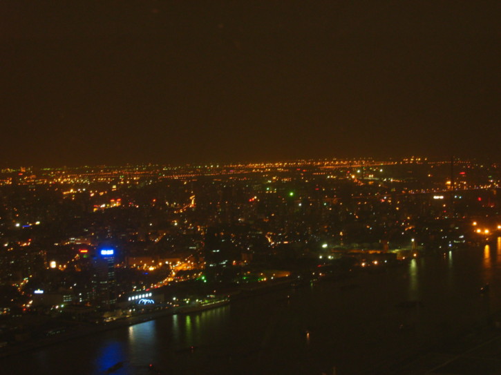 View from the Pearl Tower