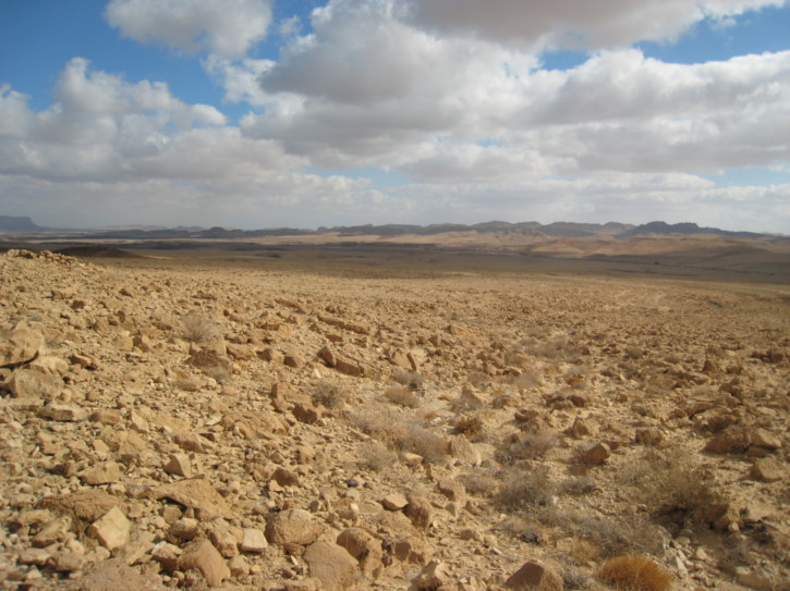 Miles of nothing
