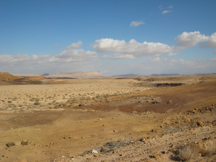 Along the road through the crater