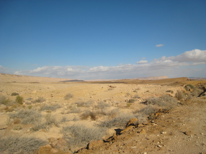 Along the road through the crater