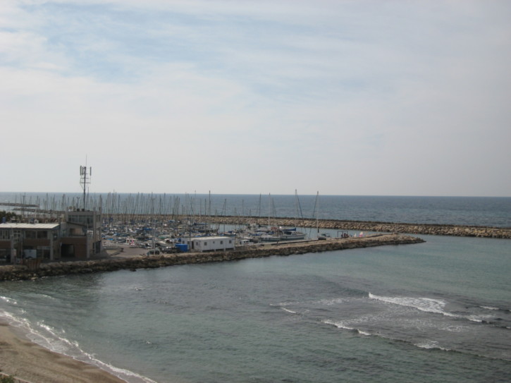 The Tel Aviv port