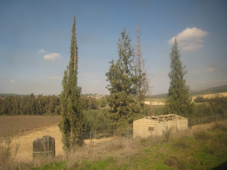 Untitled image