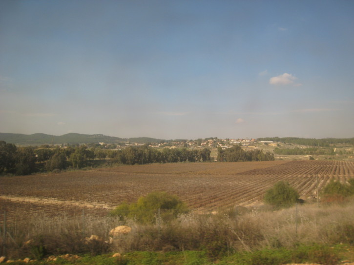 Untitled image