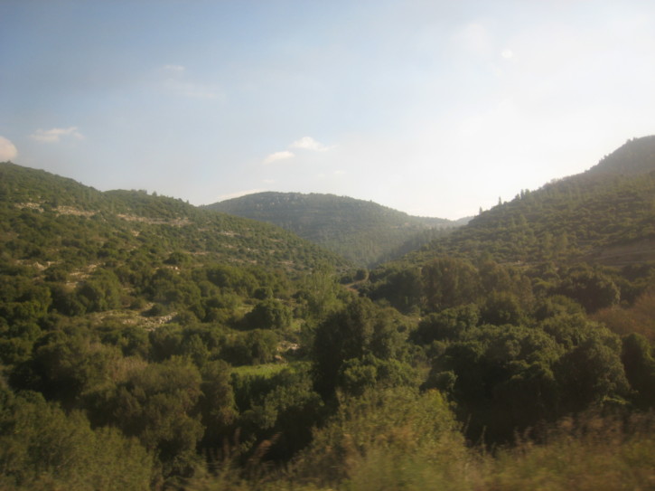 Untitled image