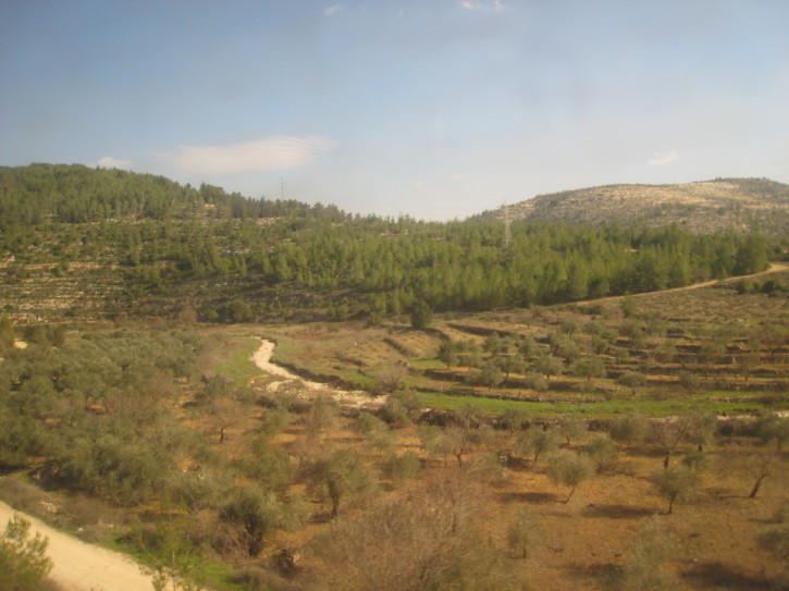 Untitled image