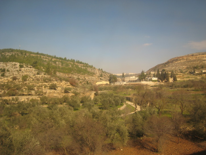 Untitled image