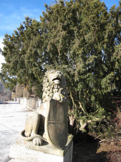 Untitled image