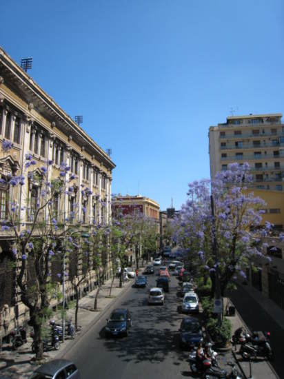 Untitled image