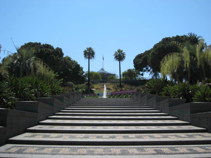 Untitled image
