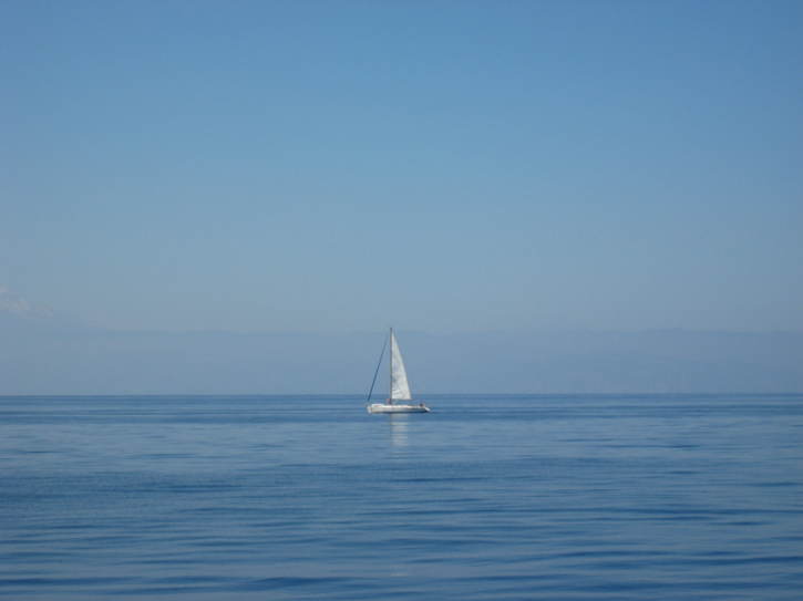 Untitled image