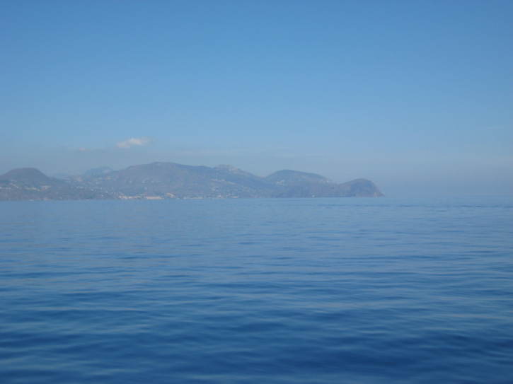 Untitled image