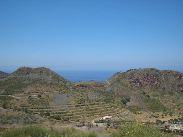Untitled image