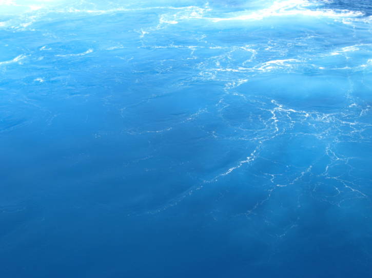Untitled image