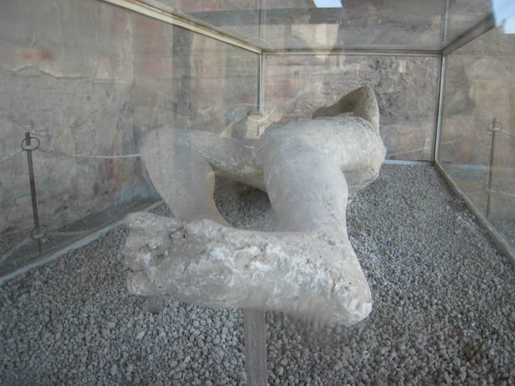 Untitled image