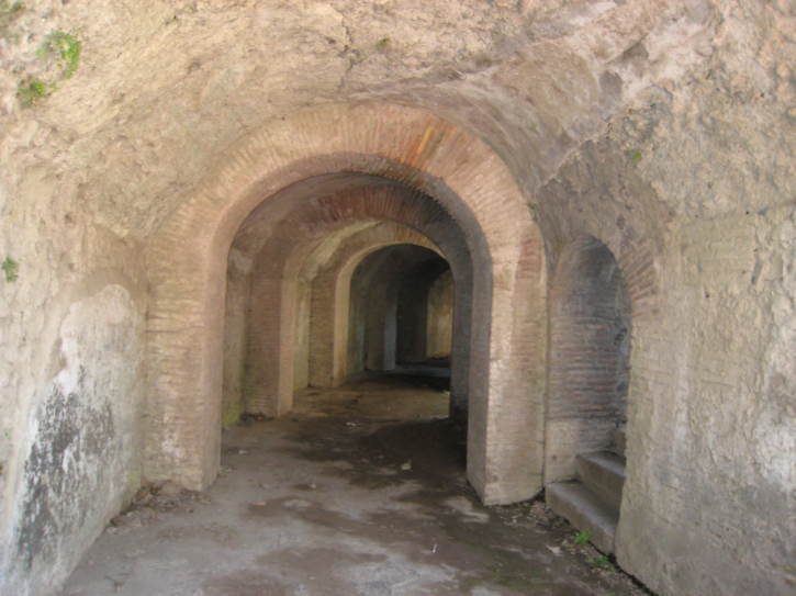 Untitled image