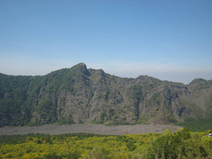 Untitled image