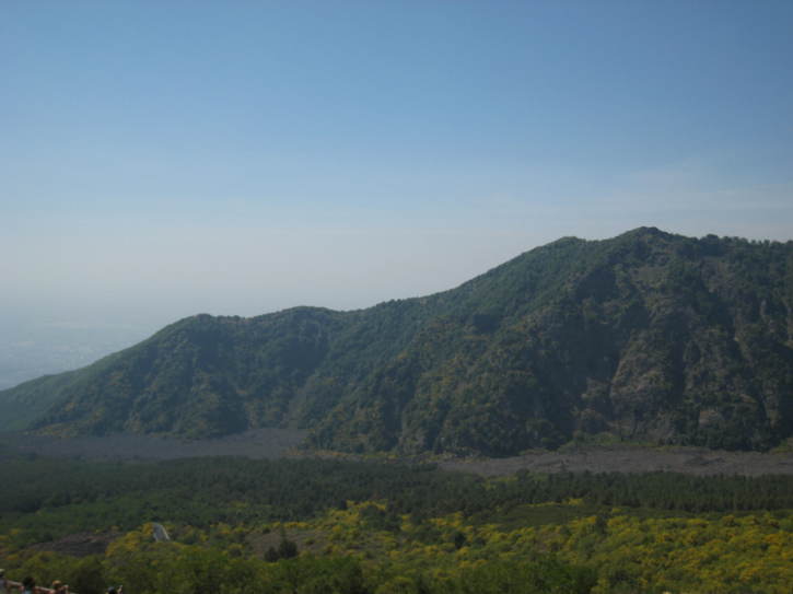 Untitled image