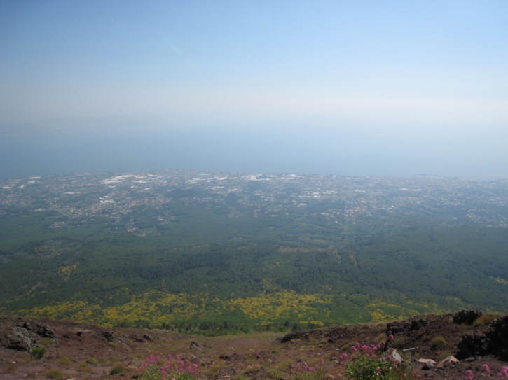 Untitled image
