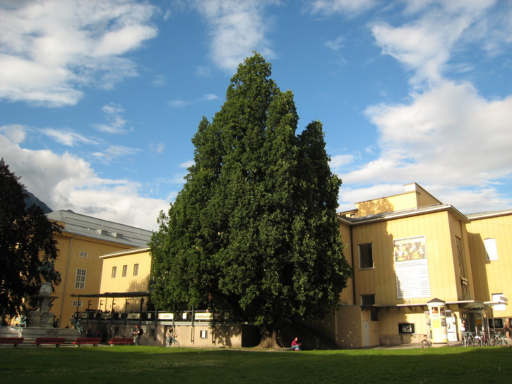 Untitled image