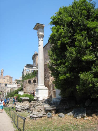 Untitled image