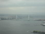 View from the Landmark Tower