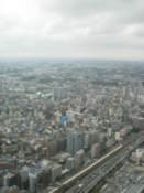 View from the Landmark Tower