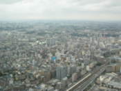 View from the Landmark Tower