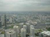 View from the Landmark Tower