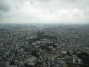 View from the Landmark Tower