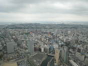 View from the Landmark Tower